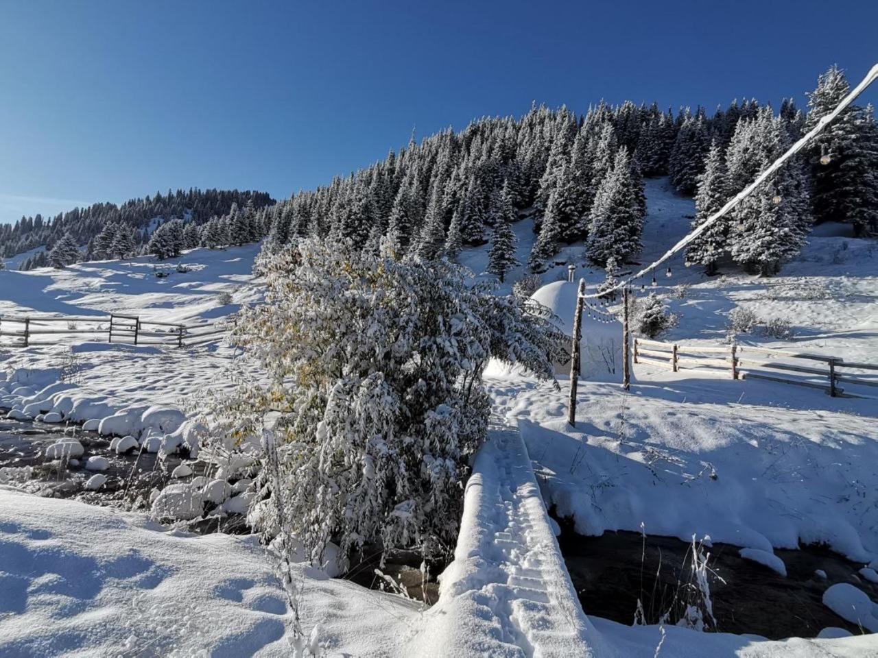 Mine Hostel Dzhergalan Jyrgalan Экстерьер фото